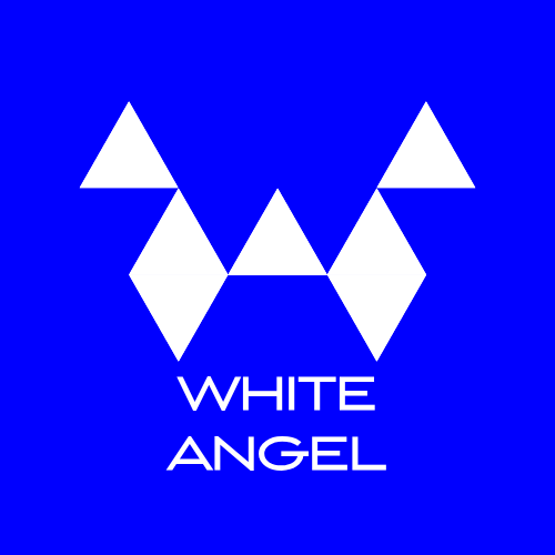 WHITE ANGEL - Business Angel & Conseil Cessions-Acquisitions